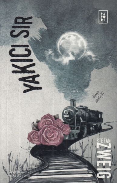 Yakıcı Sır Stefan Zweig