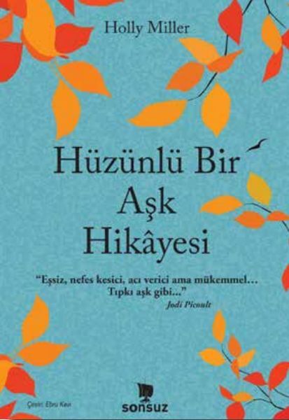 Hüzünlü Bir Aşk Hikayesi Holly Miller