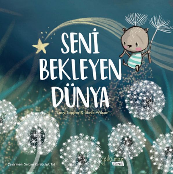 İlk Okuma Seni Bekleyen Dünya Lucy Tapper , Steve Wilson