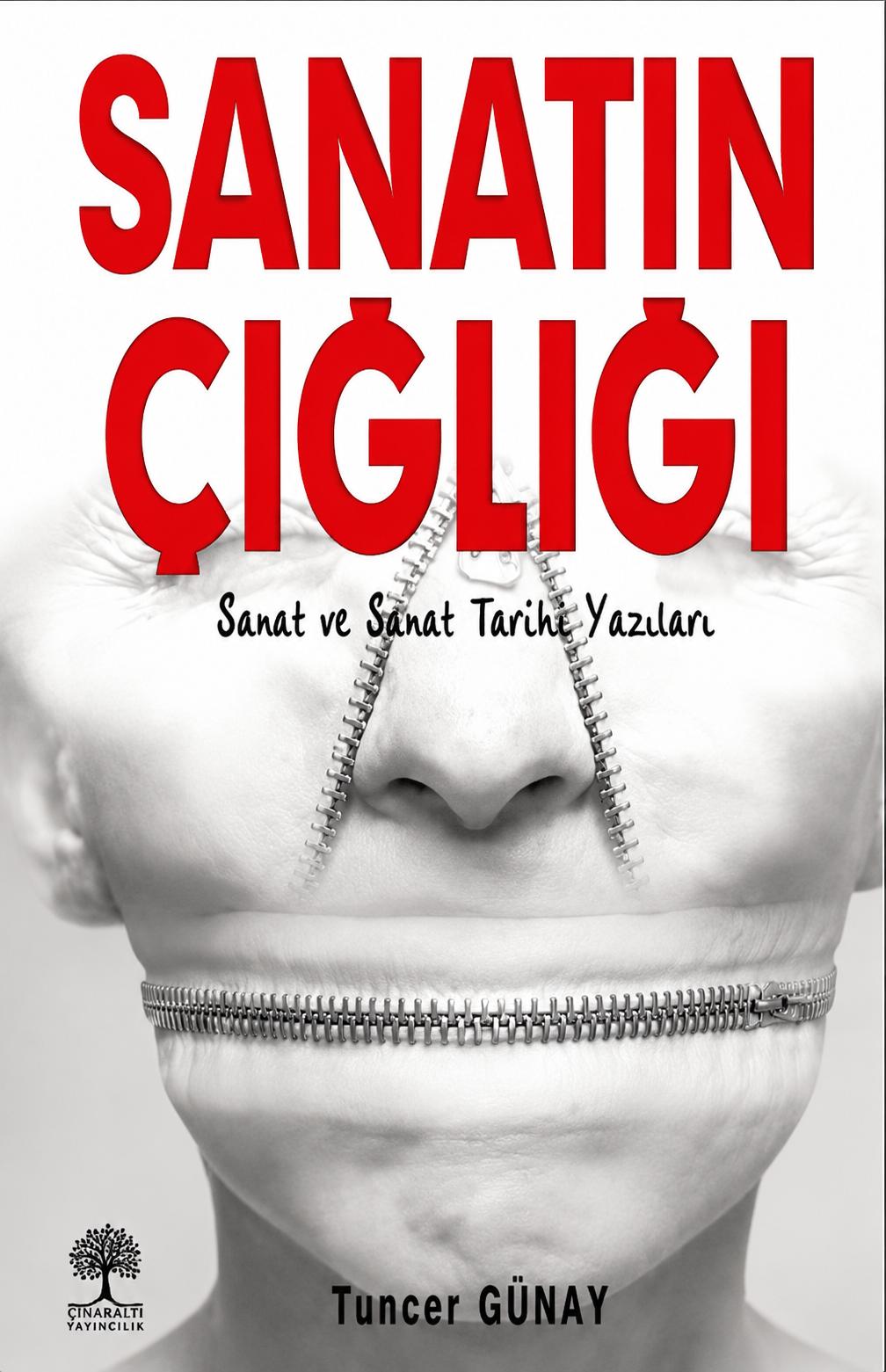 Sanatın Çığlığı Tuncer Günay